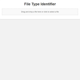 File Type Identifier