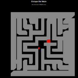 Escape the Maze